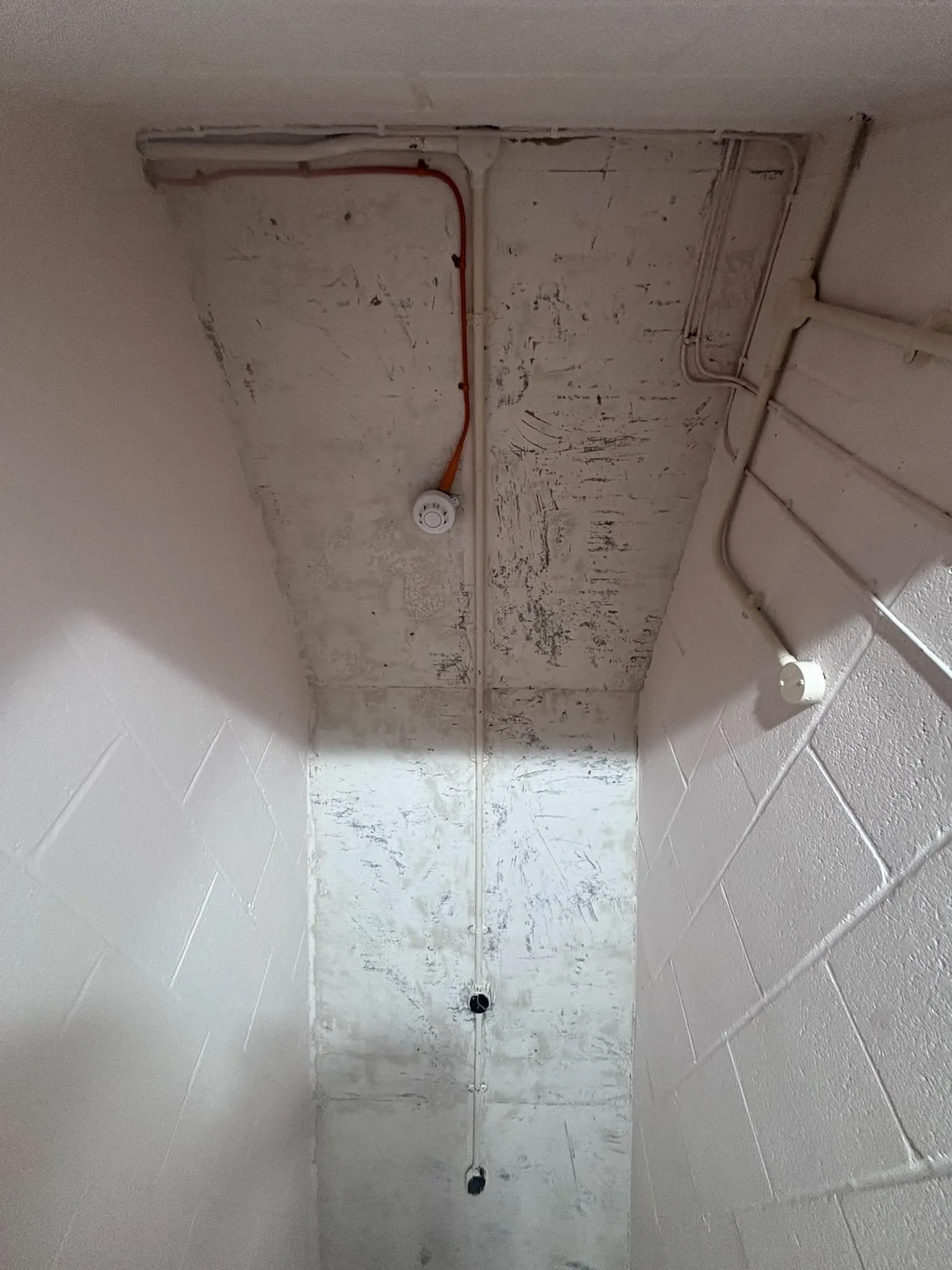 Licensed asbestos gasket removal in a Bellingham commercial property